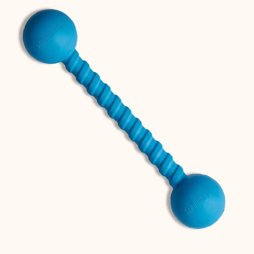 Playbuddy Twizzoo
