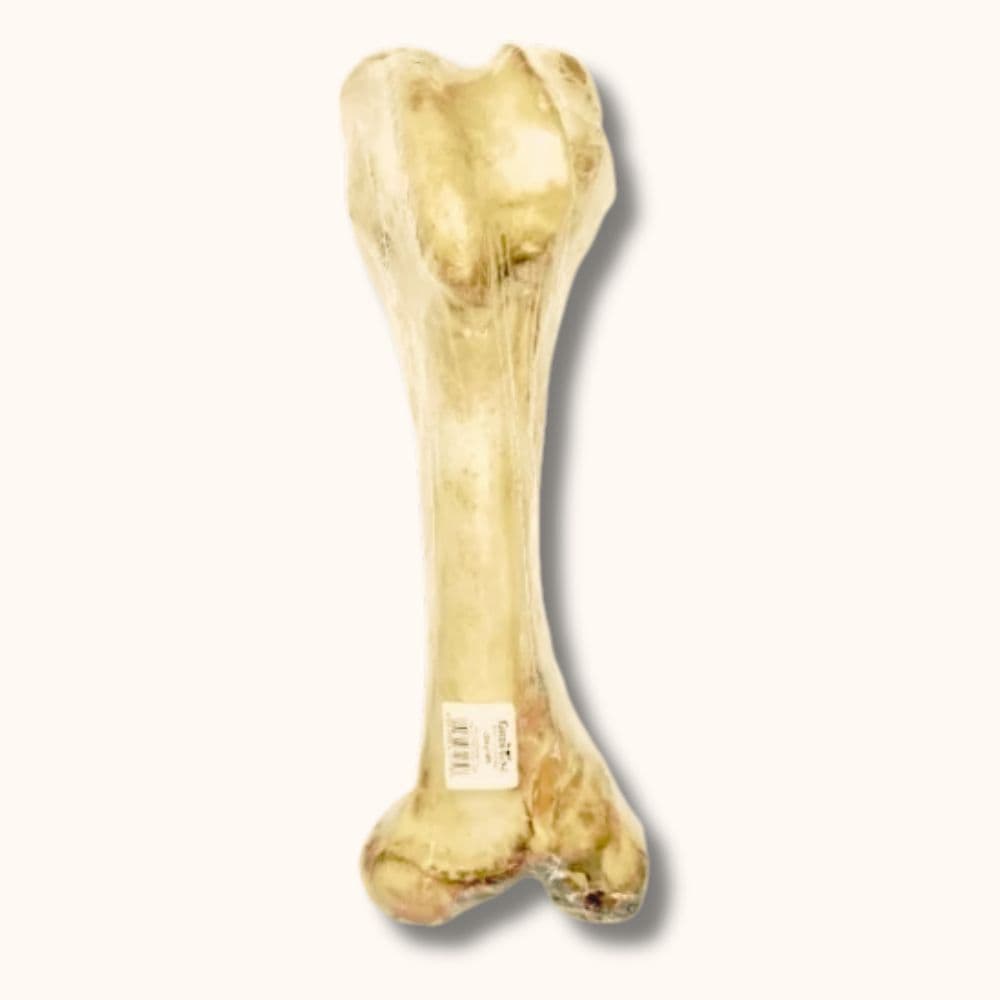 Leon Bones