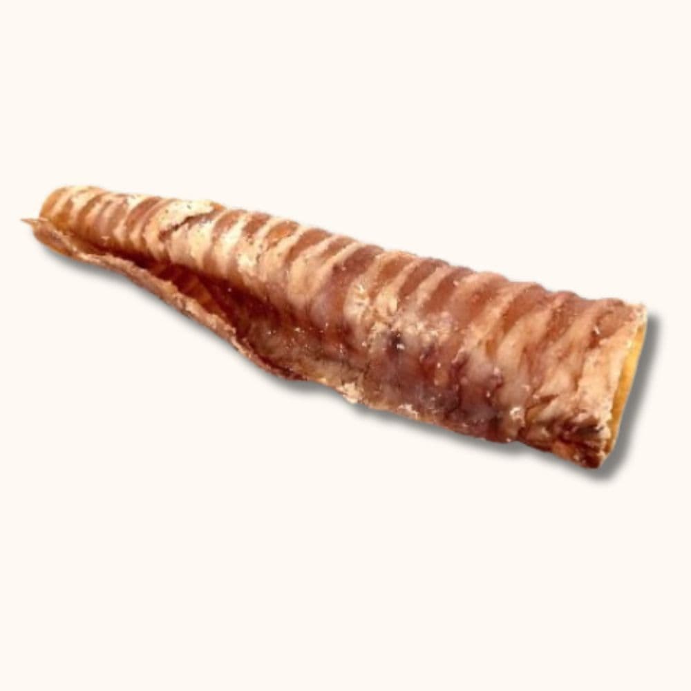 Trachea